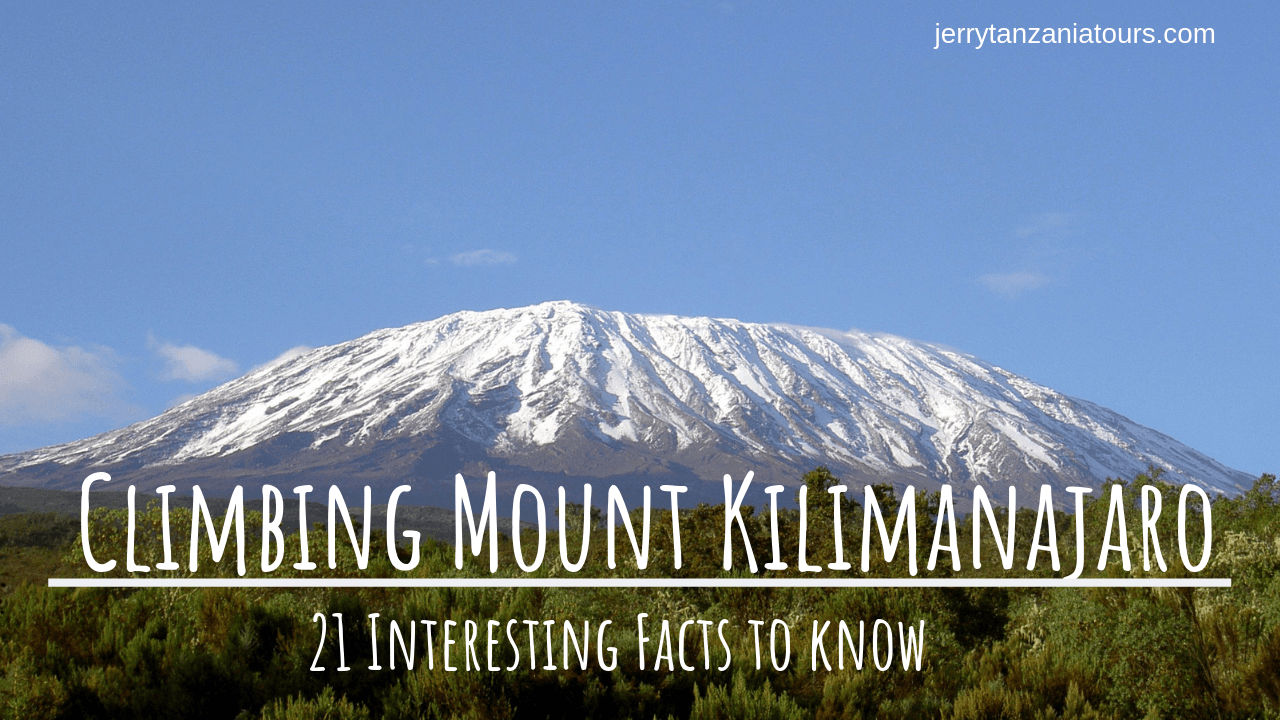 Mount Kilimanjaro Facts Facts To Know Jerry Tanzania Tours