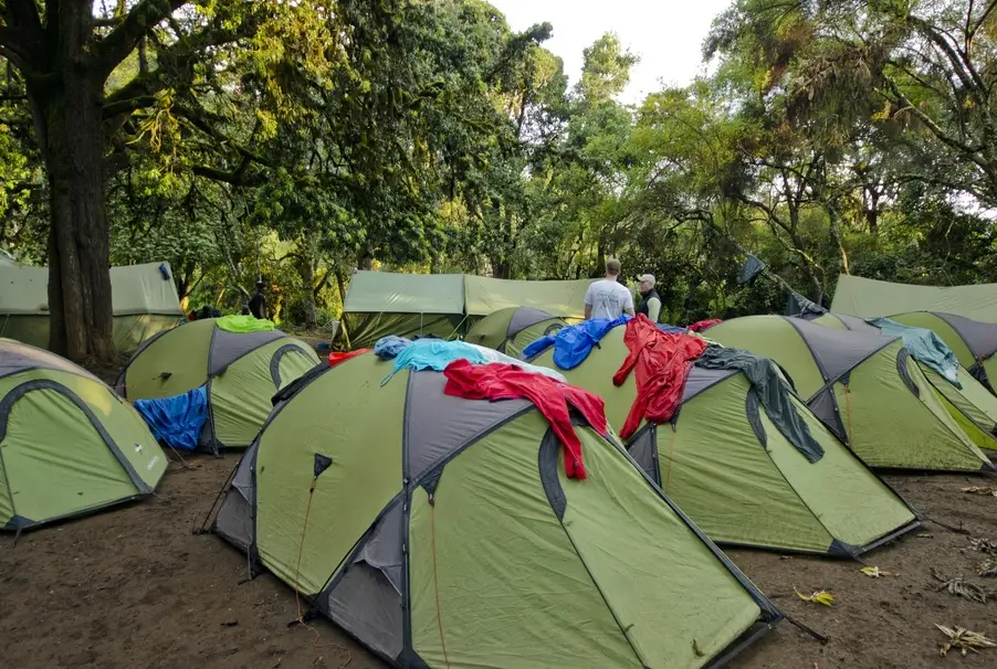 Tents At Mti Mkubwa Camp