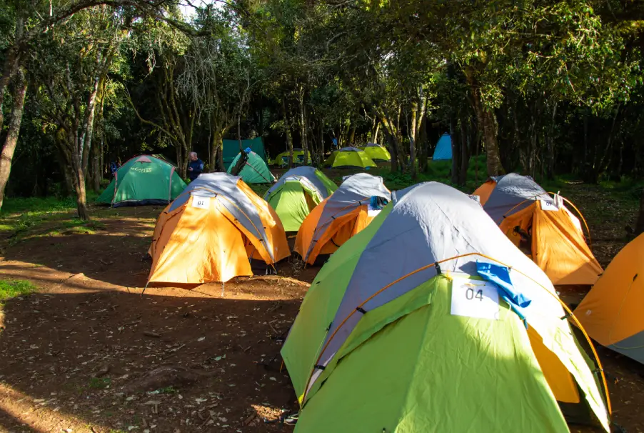 Tents At Mti Mkubwa Camp