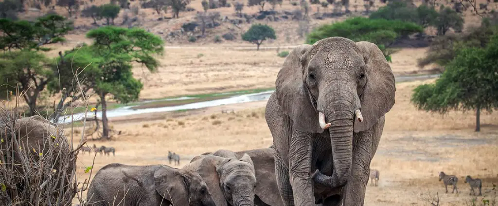 Lake Manyara