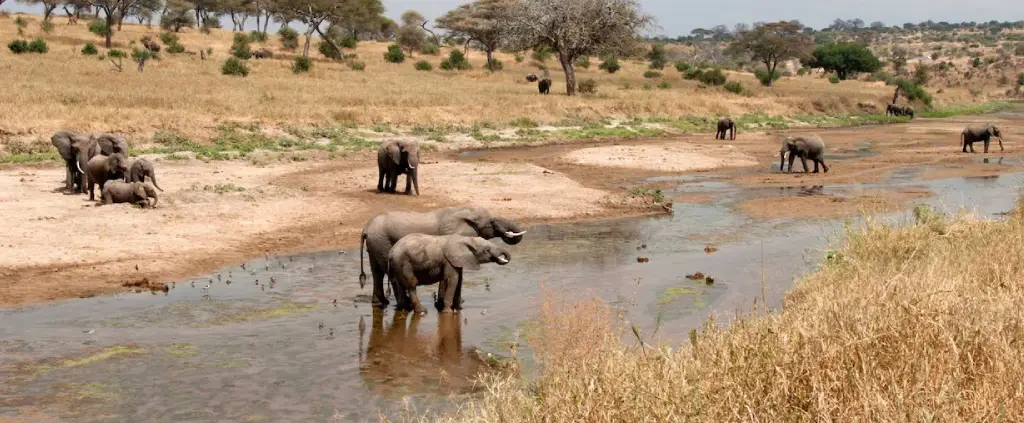 Lake Manyara