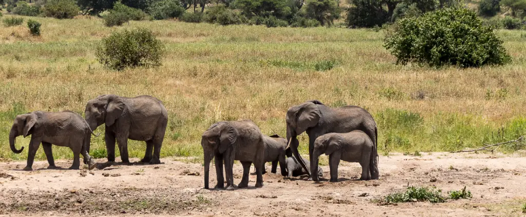 Lake Manyara