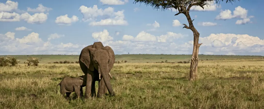 Lake Manyara