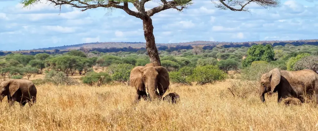 Lake Manyara