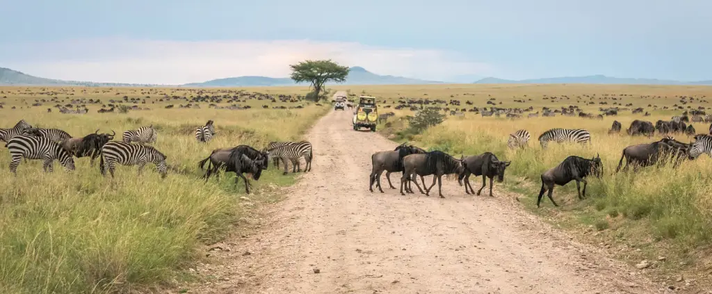 Lake Manyara