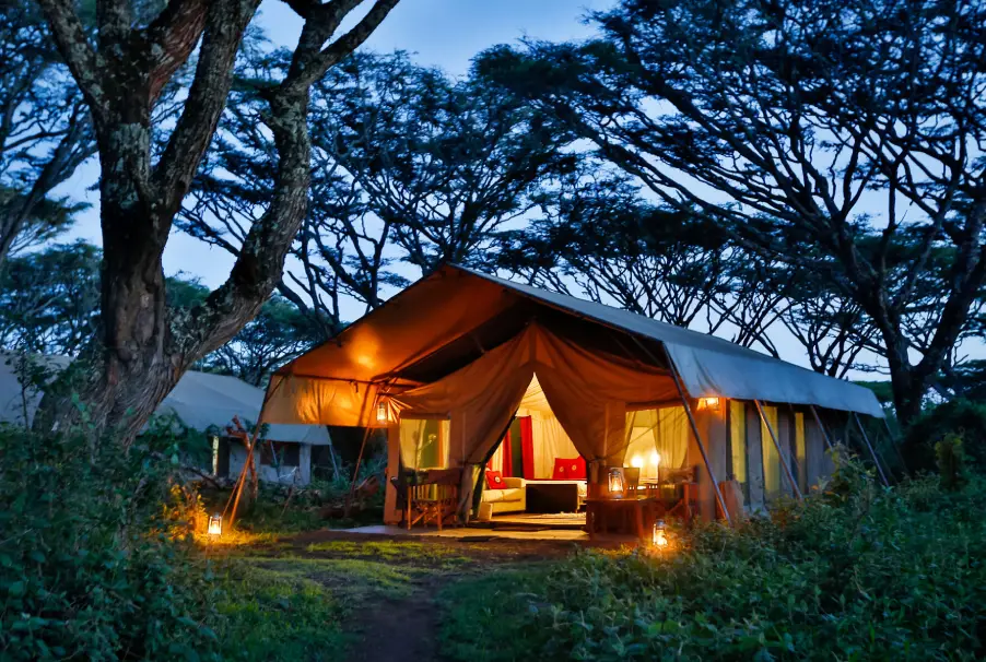 Ngorongoro Lion’s Paw Camp