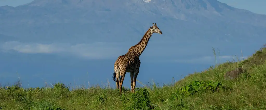 Lake Manyara