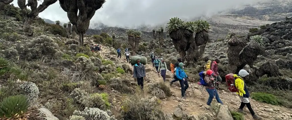 Machame Route