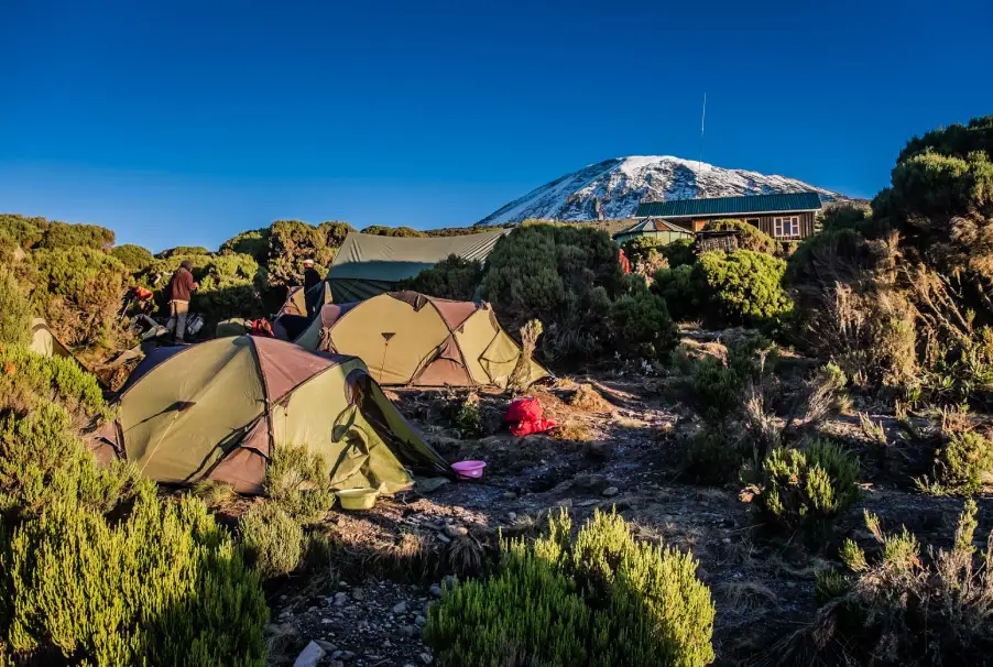 Tents At Mweka Camp