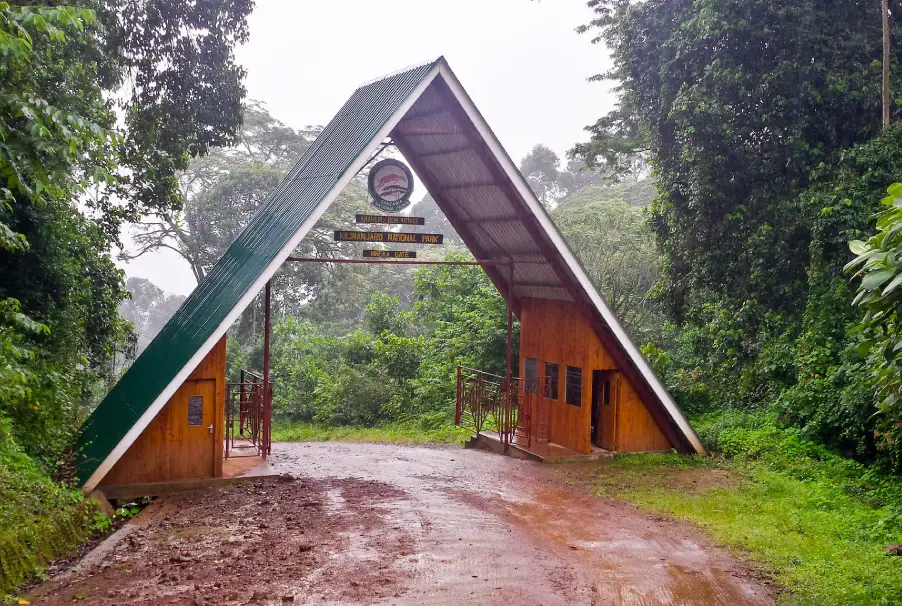 Tents At Mweka Camp