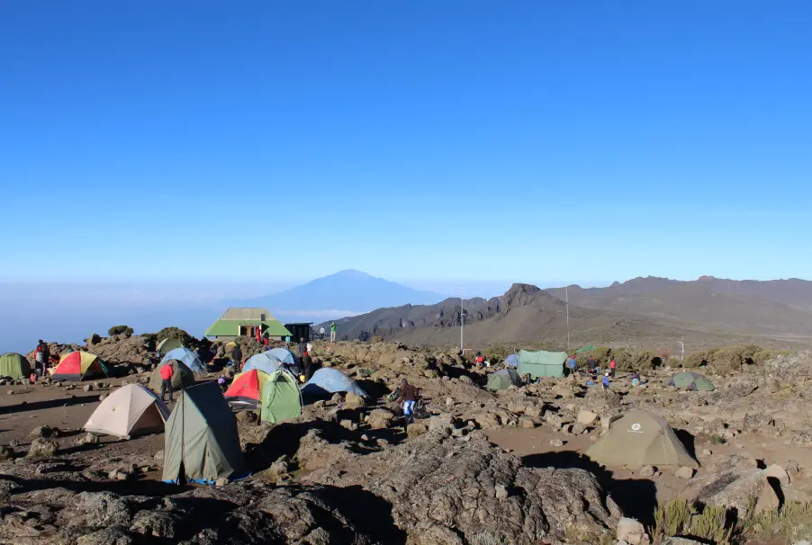 Tents At Shira 2 Camp