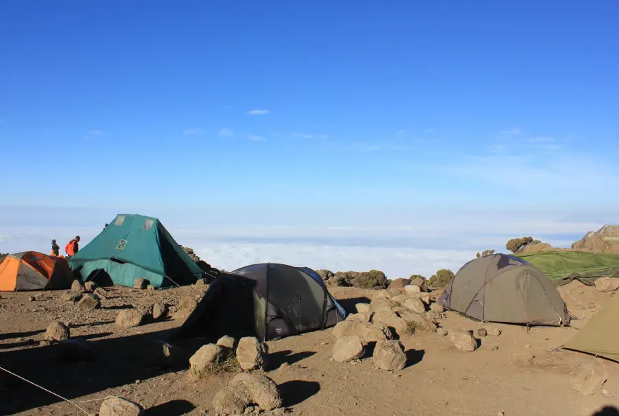 Tents At Shira 2 Camp