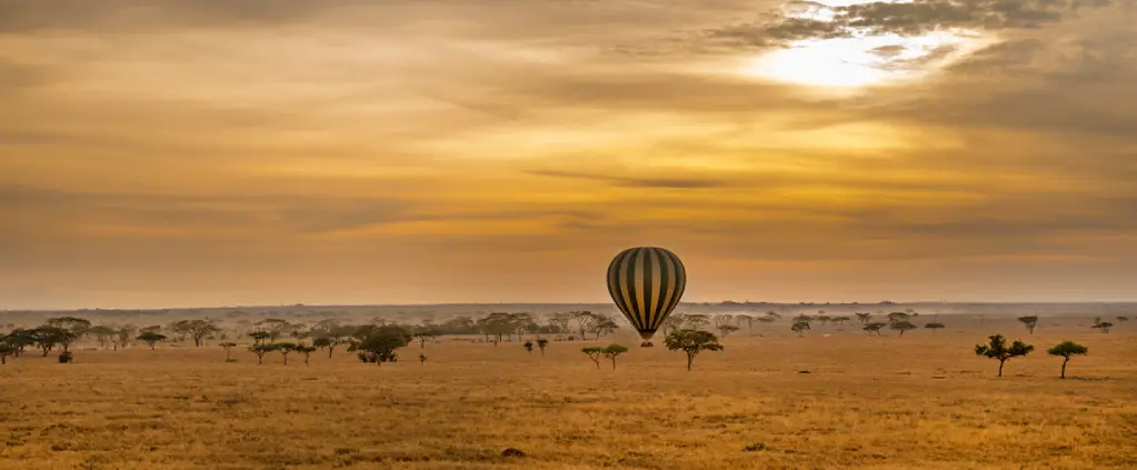 Ngorongoro