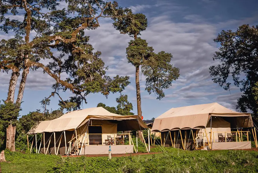 Ngorongoro Lion’s Paw Camp