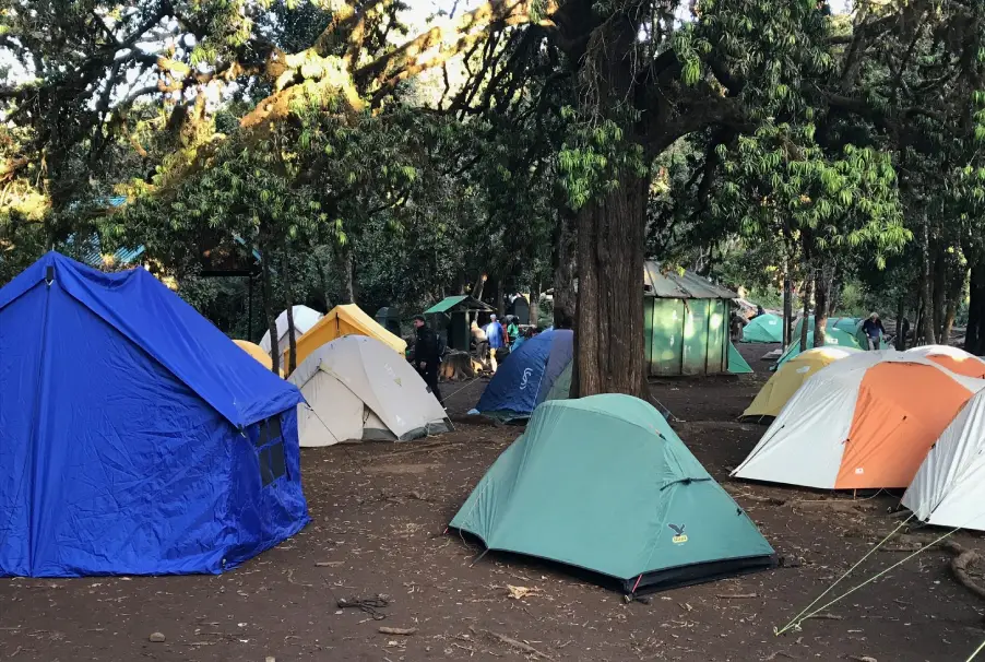 Tents At Mti Mkubwa Camp