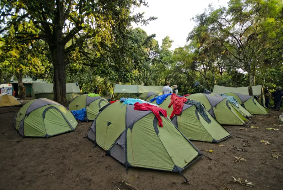 Tents At Mti Mkubwa Camp