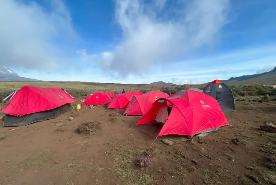 Tents At Shira 1 Camp