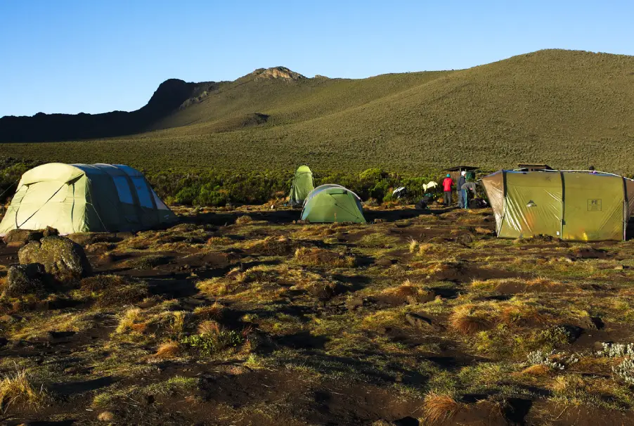 Tents At Shira 1 Camp