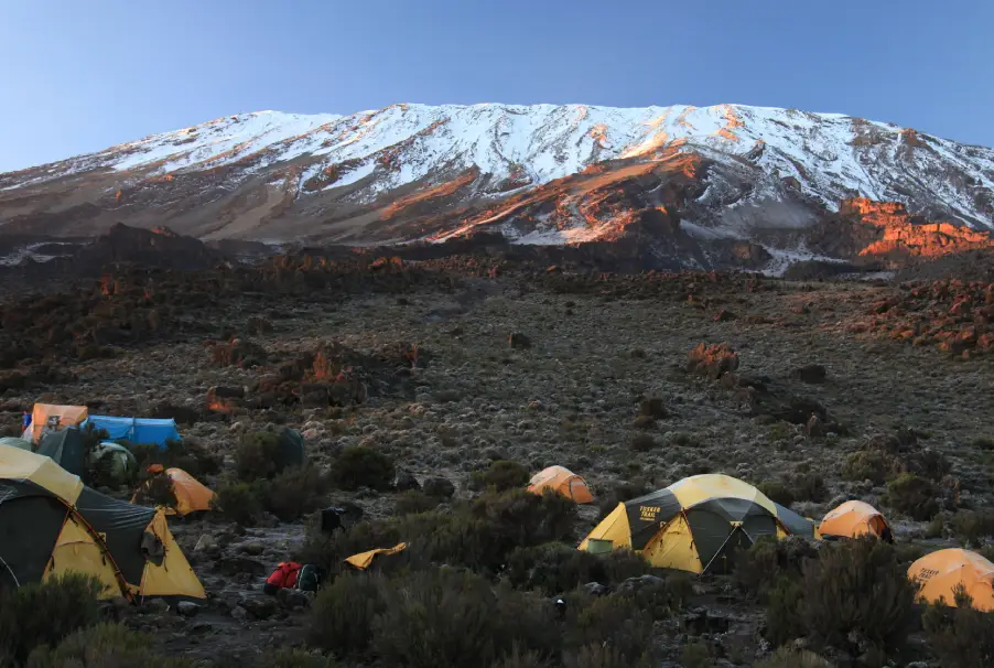 In Tents at Buffalo Camp