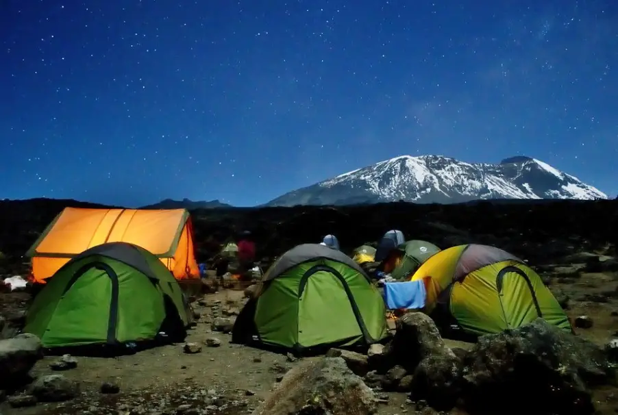 Tents At Shira 2 Camp