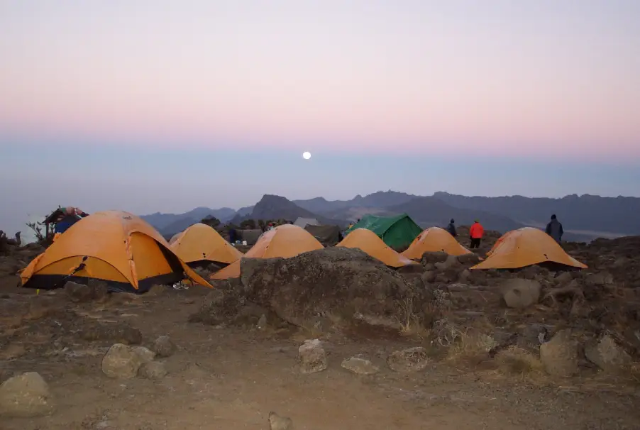 Tents At Shira 2 Camp