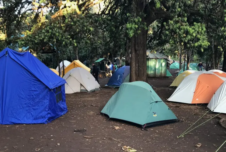 Tents At Mti Mkubwa Camp