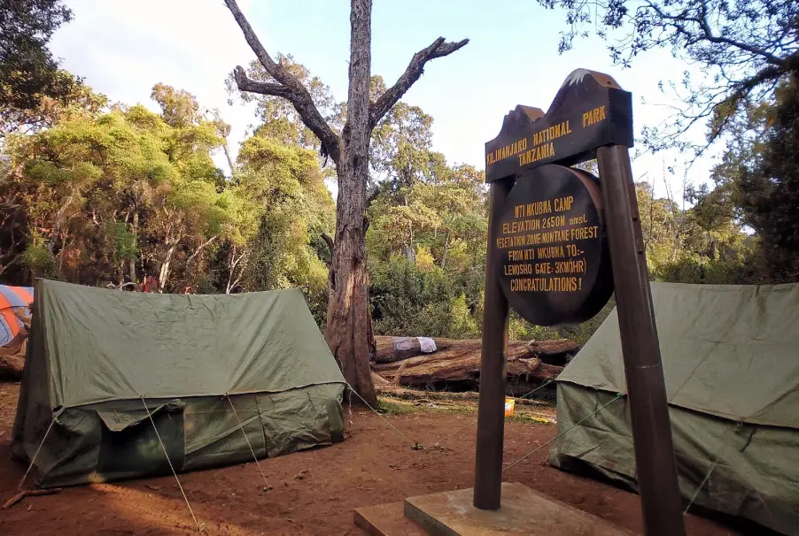 Tents At Mti Mkubwa Camp