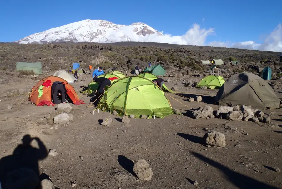 Tents At Shira 1 Camp