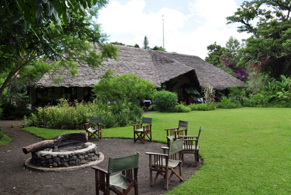 Kilimanjaro Coffee plantation