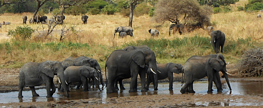 Lake Manyara