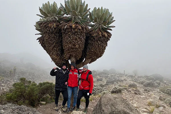 Kilimanjaro Daypack