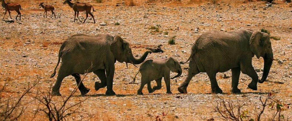 Lake Manyara