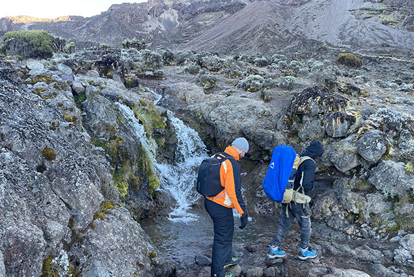 Kilimanjaro Travellers Experience