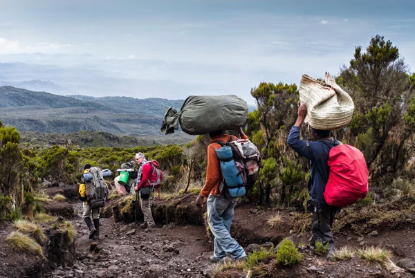 Kilimanjaro Trekking