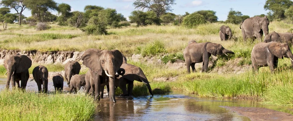 Lake Manyara