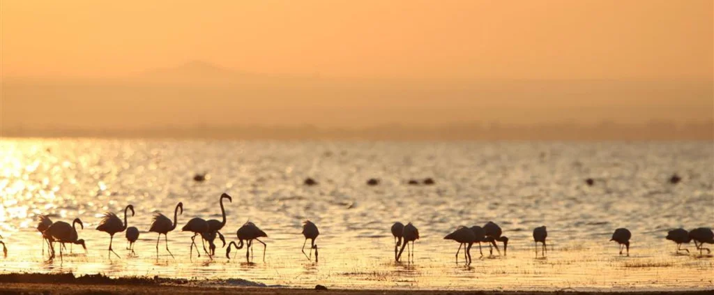 Lake Manyara