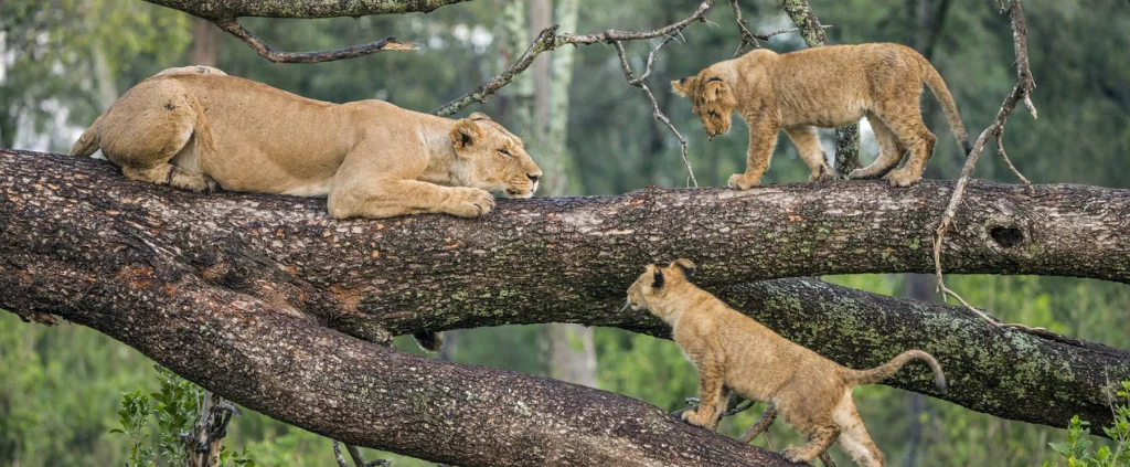 Lake Manyara