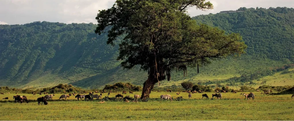 Lake Manyara