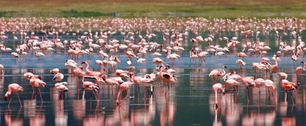 Lake Manyara