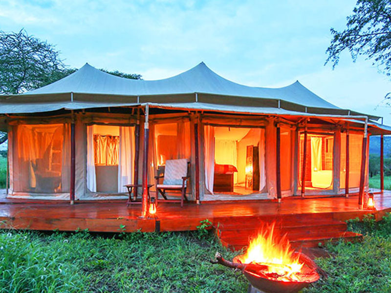 Tanzania Safari Cost