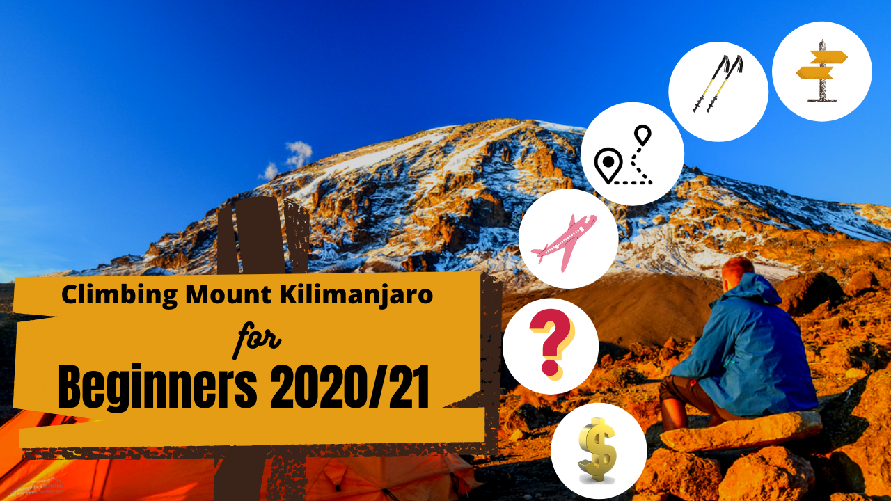 Climbing Mount Kilimanjaro For Beginners All You Need To Know Guide