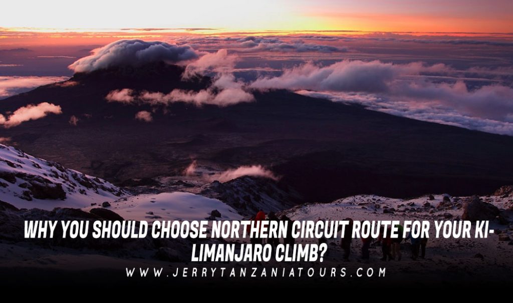 Northern Circuit Kilimanjaro
