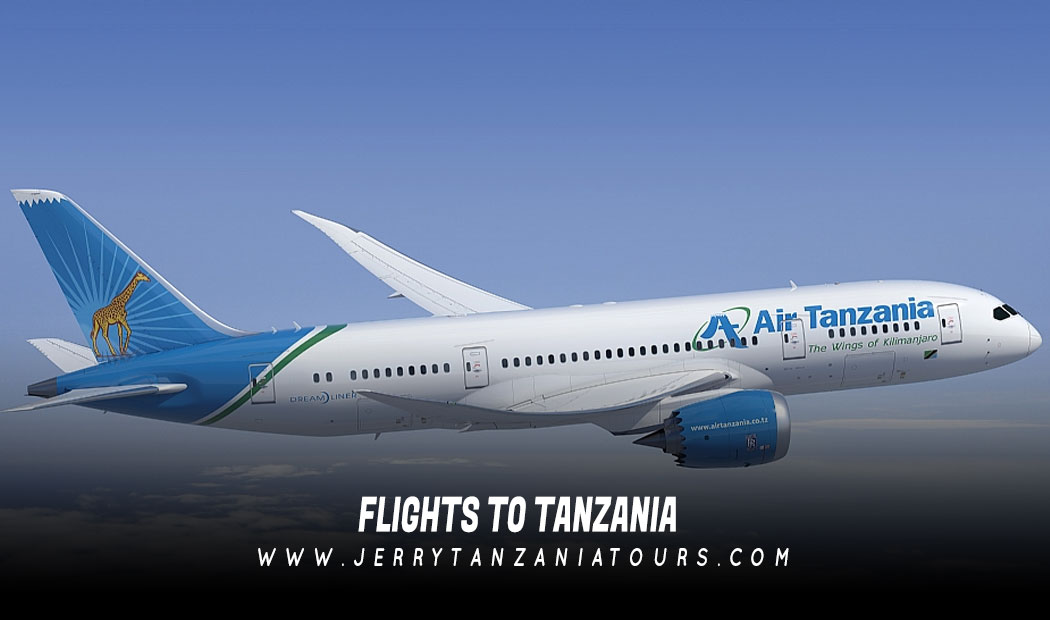 Flights To Tanzania