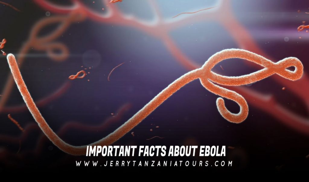 Ebola Facts