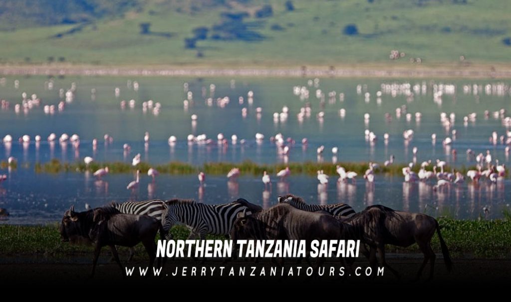 Northern-Tanzania-Safari