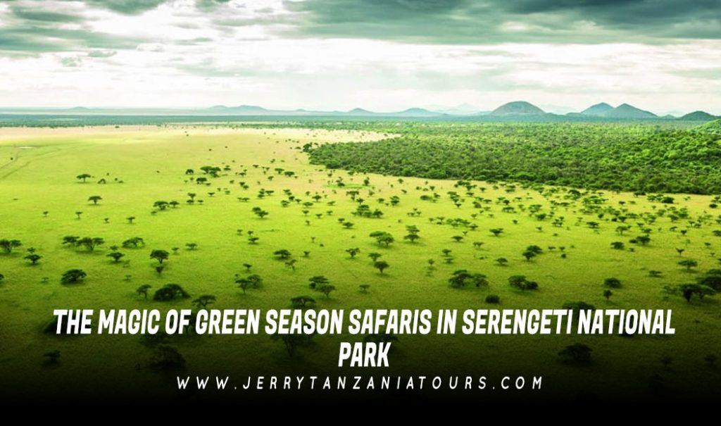 Serengeti Green Camps - Tanzania Mobile Safaris