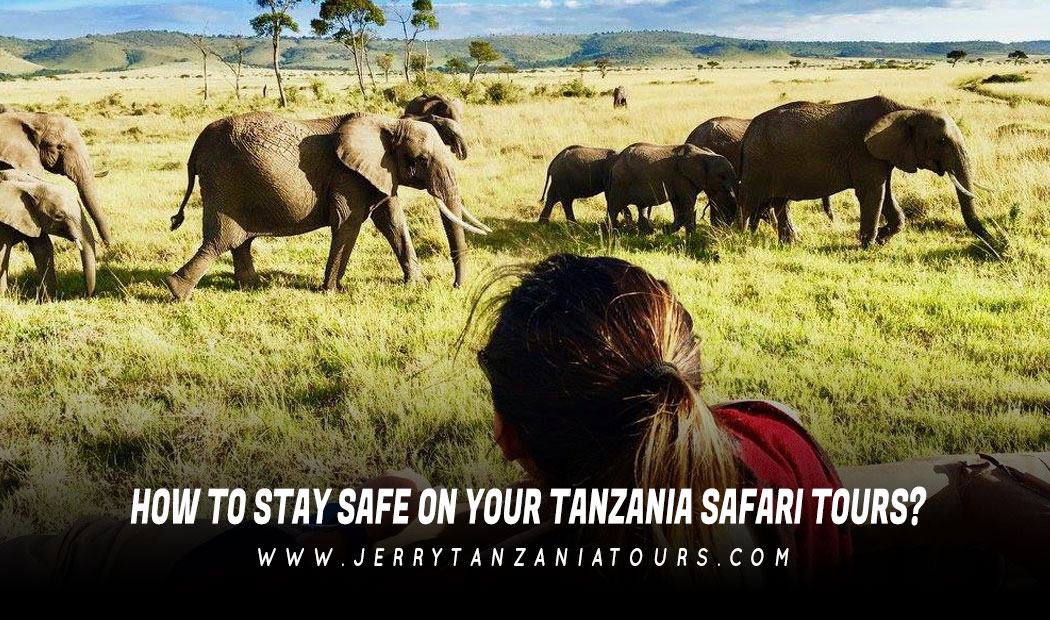 tanzania safari safe