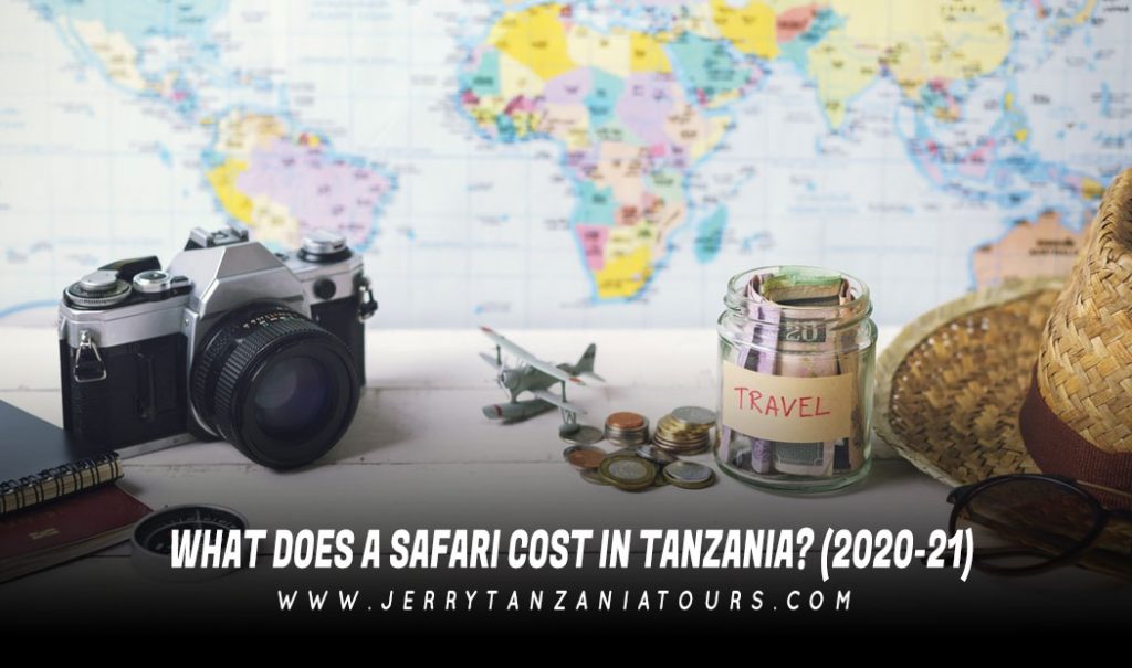 Tanzania Safari Cost