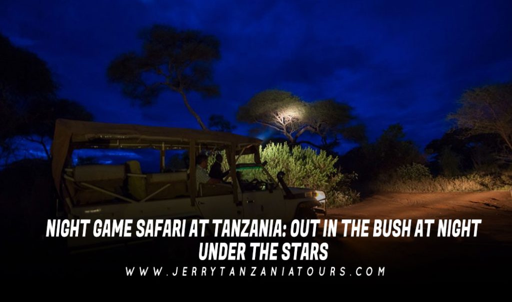 Night Game Safari At Tanzania