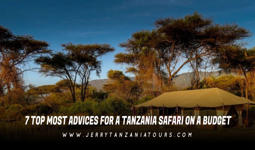 Tanzania Safari On A Budget